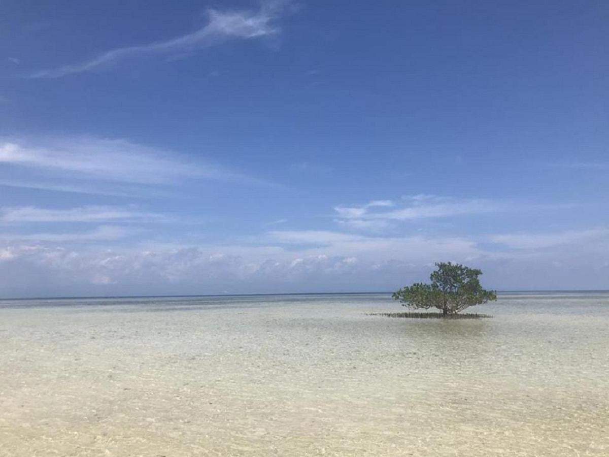 Irish Lodge Panglao Kültér fotó